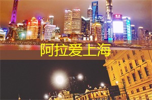 您可以在阴凉的树荫下
